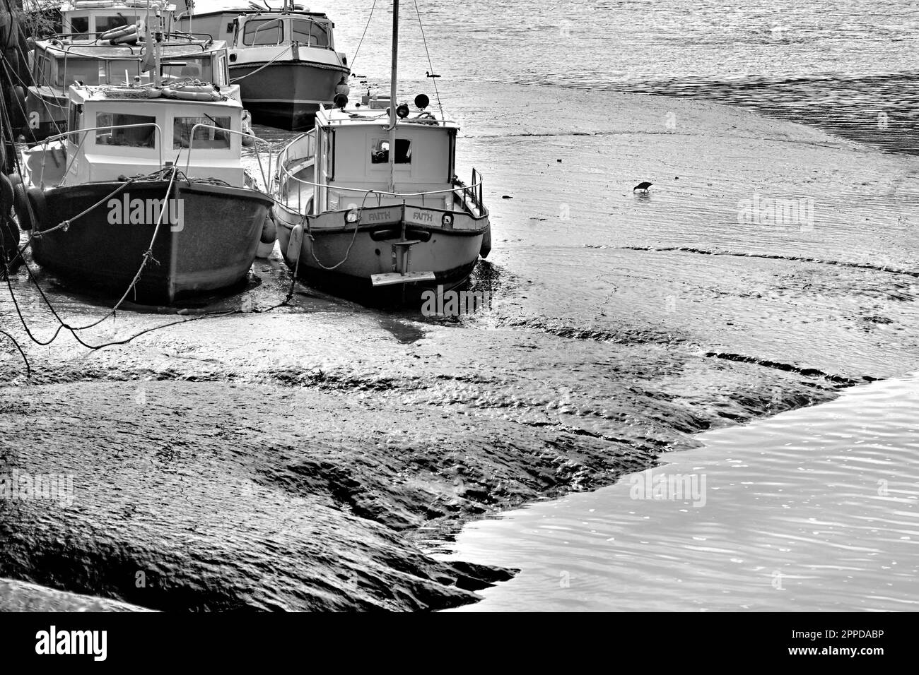 Moorhen und ducken Sie sich inmitten kleiner Boote am Ufer des Zuflusses Ouseburn in den Fluss Tyne Stockfoto