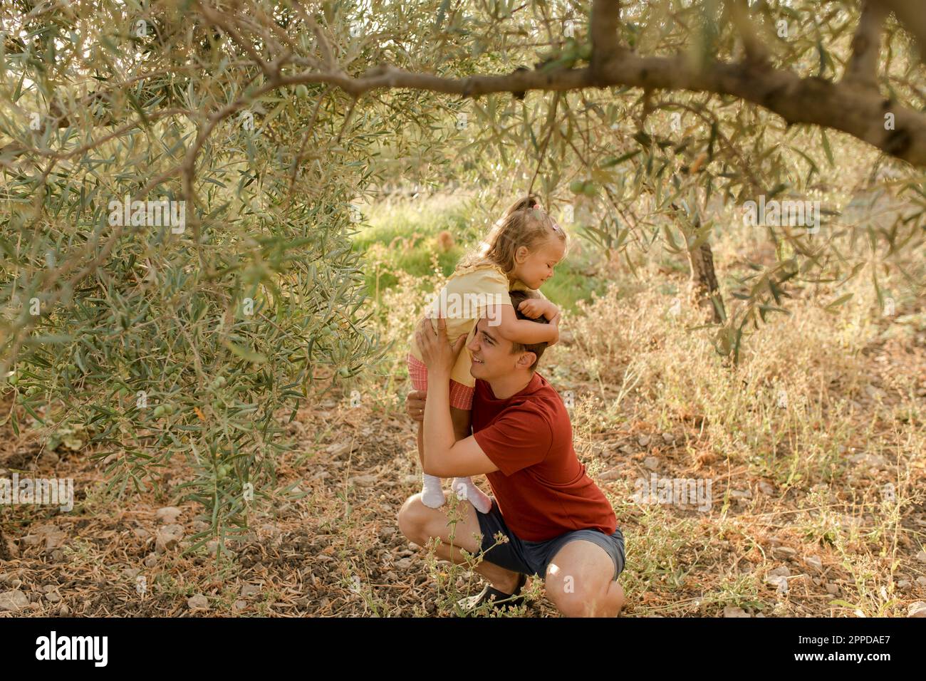 Glücklicher Vater und glückliche Tochter, die zusammen im Olivengarten Spaß haben Stockfoto