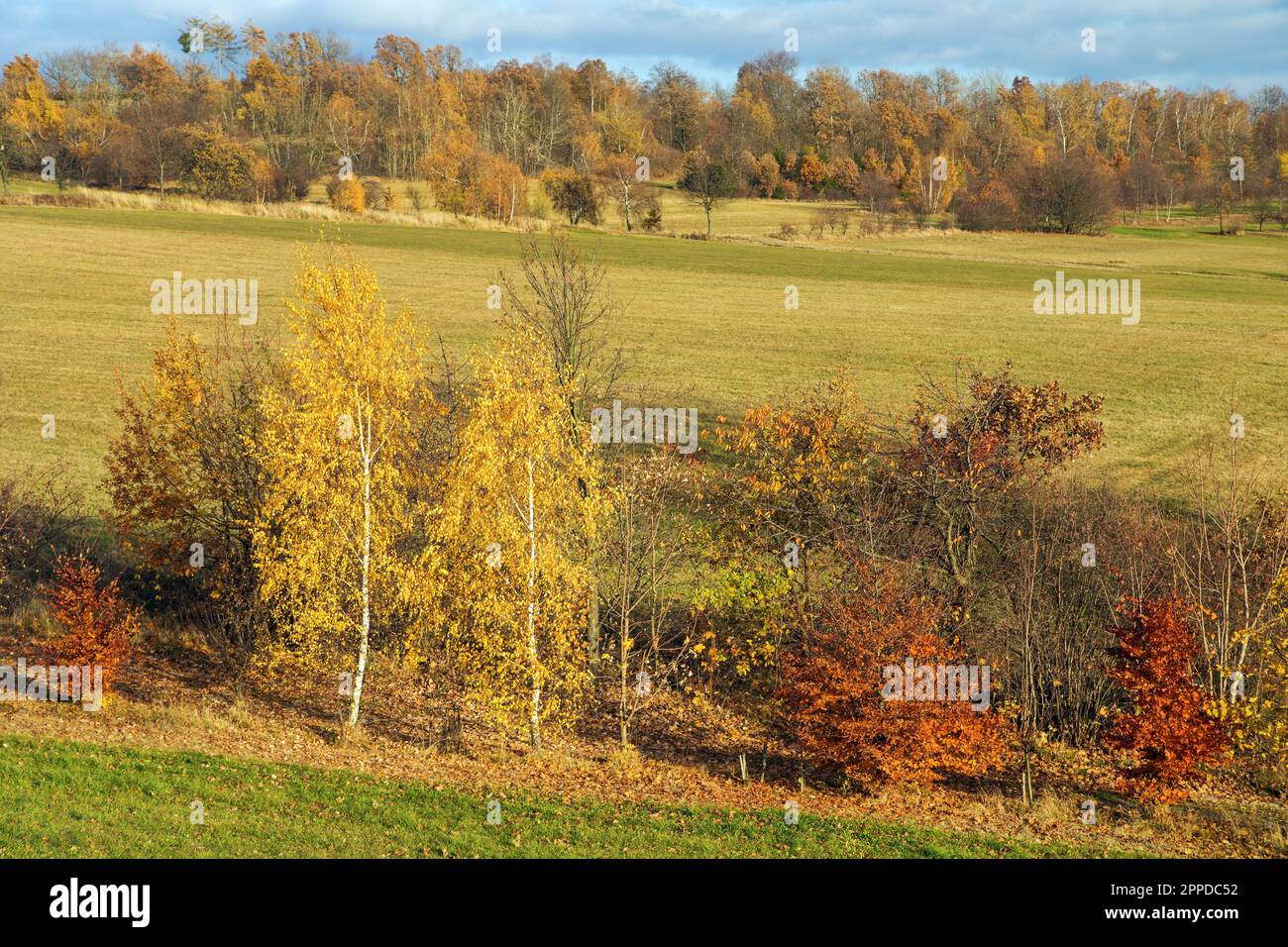 Autumny Landschaft aus Böhmisch-Mährischen Hochland - Tschechische Republik - Europa Stockfoto