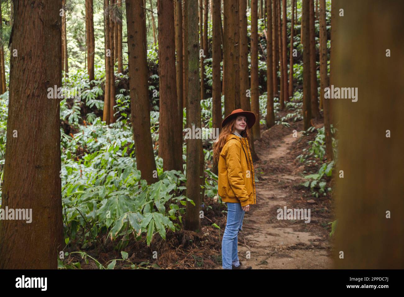 Eine rothaarige Frau mit Hut steht inmitten hoher Bäume im Wald Stockfoto