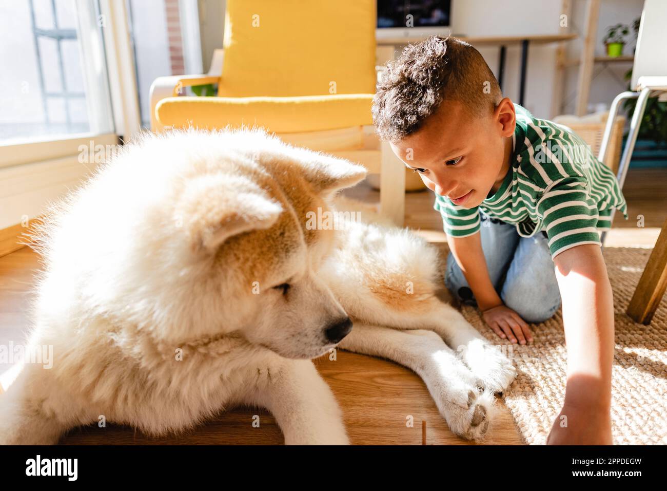 Junge spielt mit Hund zu Hause Stockfoto