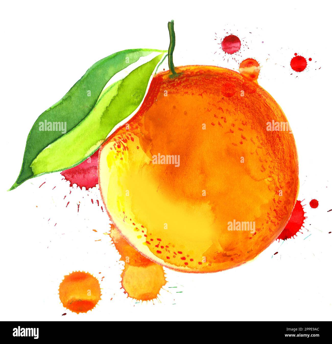 Orangenfrucht mit grünem Blatt. Aquarellmalerei mit Spritzern Stockfoto