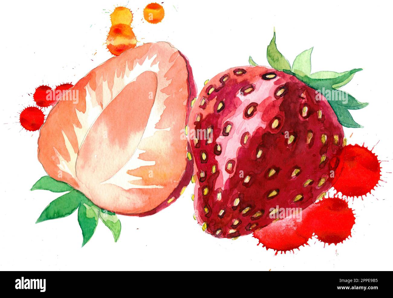 Zwei Erdbeeren. Tinte und Aquarellmalerei mit Spritzern Stockfoto