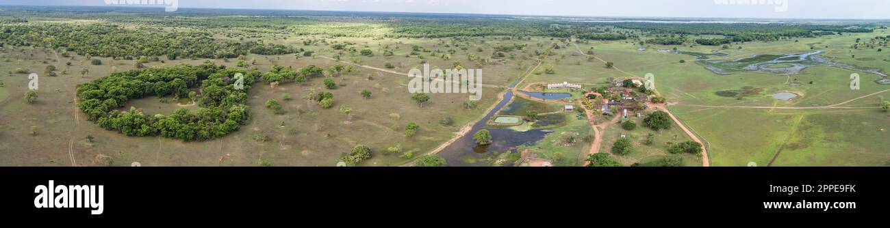 Panoramablick auf die typische Landschaft mit Wiesen, Lagunen und Wäldern in den Pantanal Feuchtgebieten, Mato Grosso, Brasilien Stockfoto