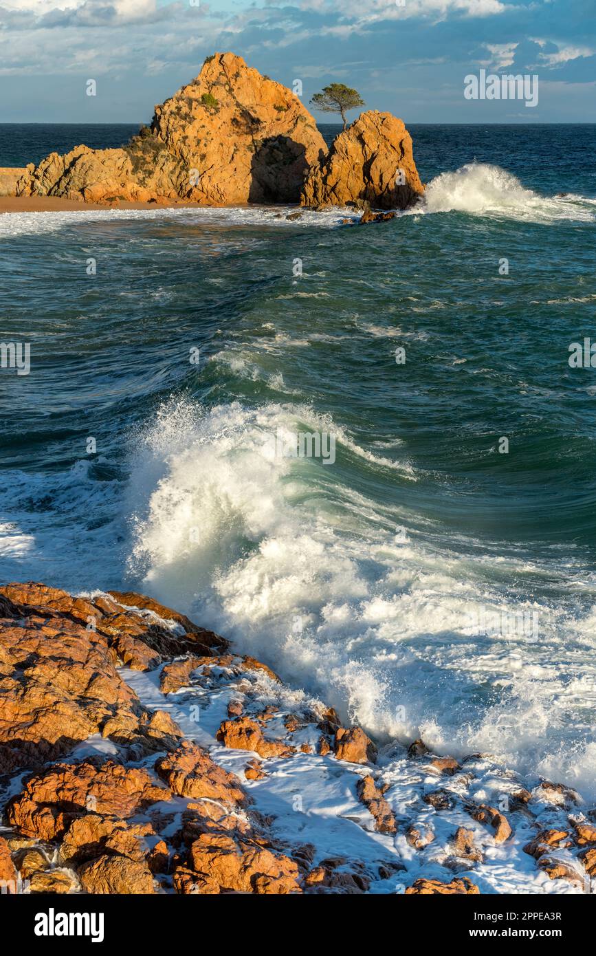 SEA STACK MAR MENUDA BEACH TOSSA DE MAR COSTA BRAVA GERONA CATALONIA SPANIEN Stockfoto