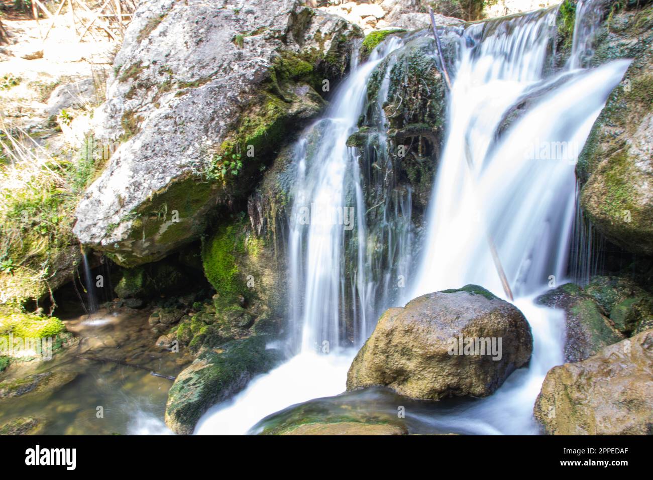 Zypressenwälder und Wasserfall von Fontegreca in den Bergen Matese, Provinz Caserta in Kampanien, Italien, Stockfoto