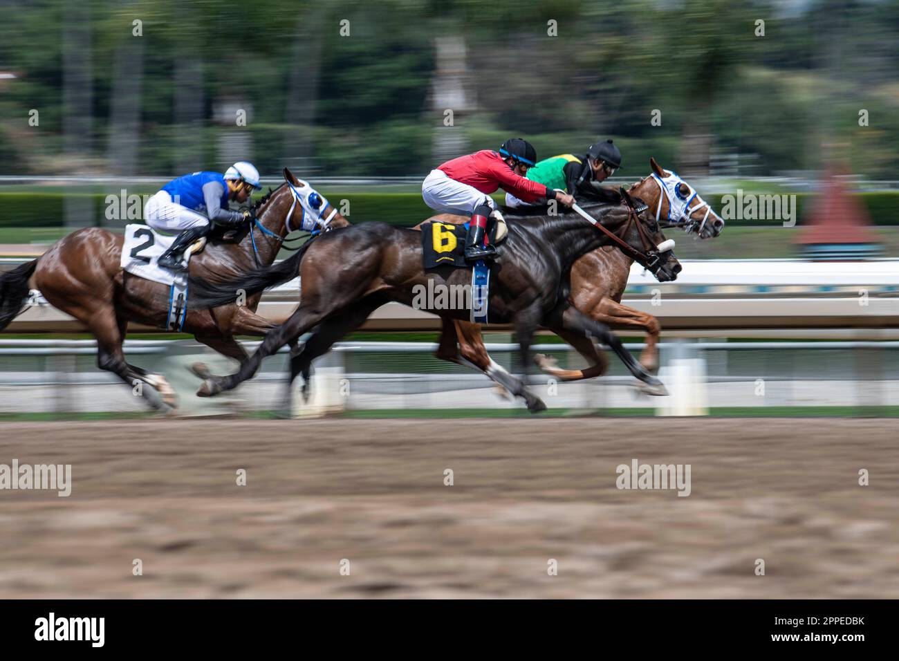 Arcadia, Usa. 22. April 2023. Abdul Alsagoor (6) in Aktion, während sie auf der Außenstraße zum Sieg geht. Pferderennfans und Spieler versammelten sich zu einem weiteren Rennwochenende im Santa Anita Park in Arcadia, Kalifornien, zum California Stakes Day. Für Samstag, den 22. April, sind insgesamt 10 Rennen geplant. Die Rennen 5 und 9 sind die Wettspiele, bei denen The die Gewinner und Verlierer des Days-Events auswählte. Kredit: SOPA Images Limited/Alamy Live News Stockfoto