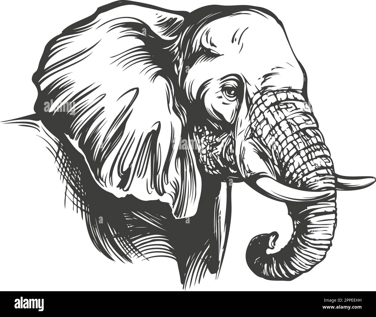 Elefant Big Animal von Hand gezeichnete Vektorzeichnung realistische Skizze. Stock Vektor
