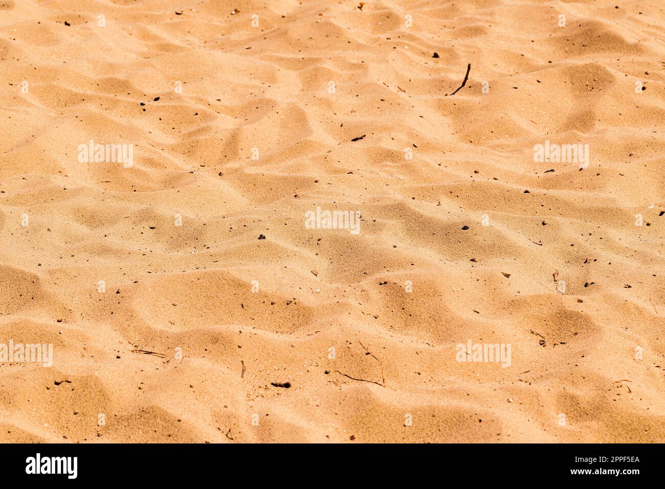 Dreckige Strandsandoberfläche als Hintergrund der Sommersaison, selektiver Fokus Stockfoto