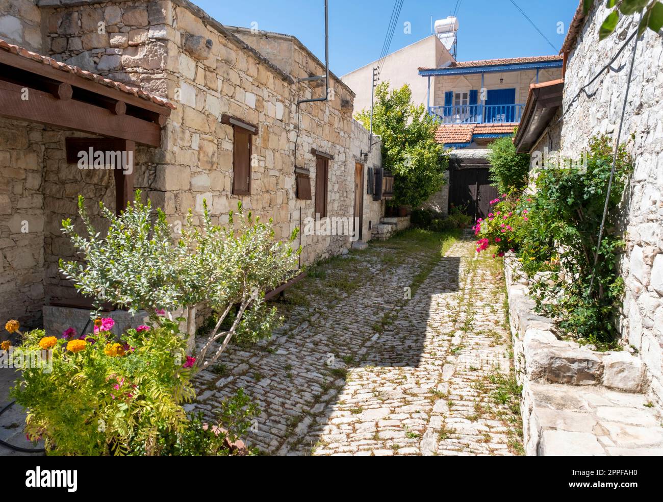 Authentische Kopfsteinpflasterstraße, Dorf Lania, Stadtteil Limassol, Zypern Stockfoto