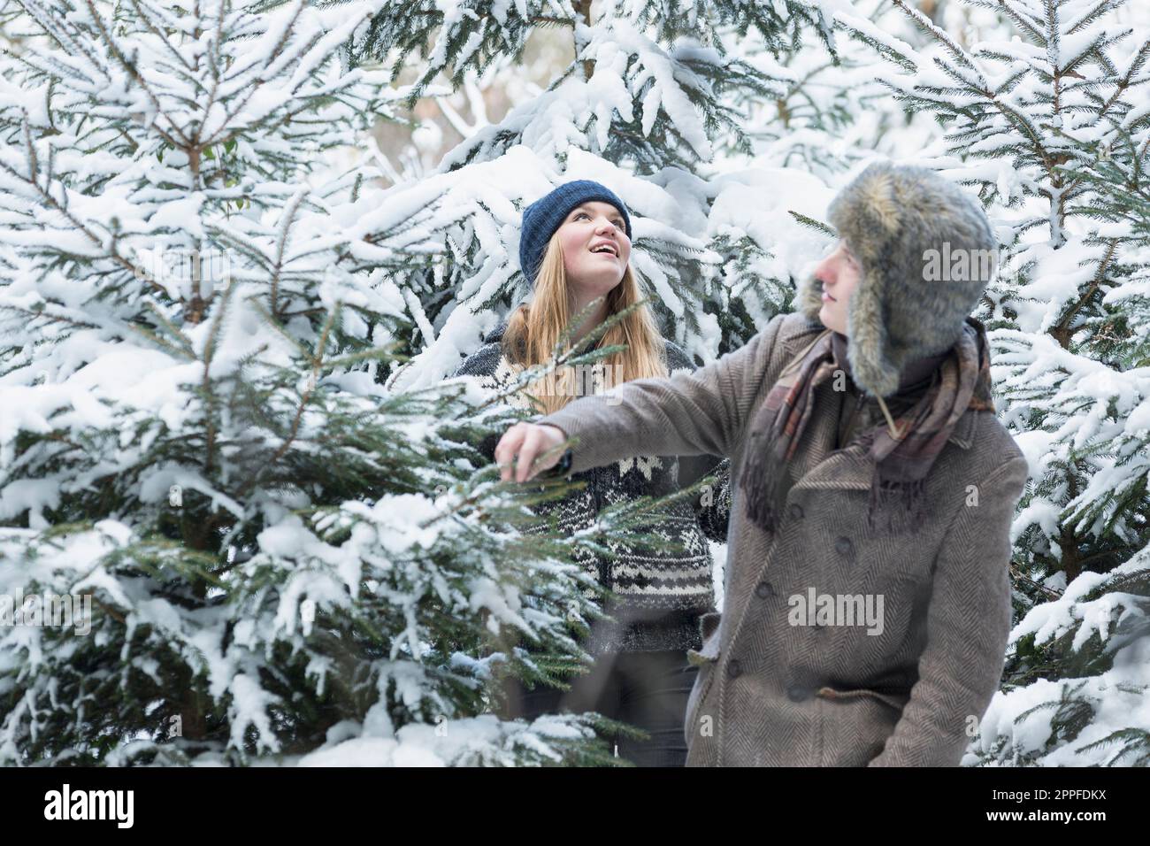 Freunde im verschneiten Wald suchen einen weihnachtsbaum, Bayern, Deutschland Stockfoto