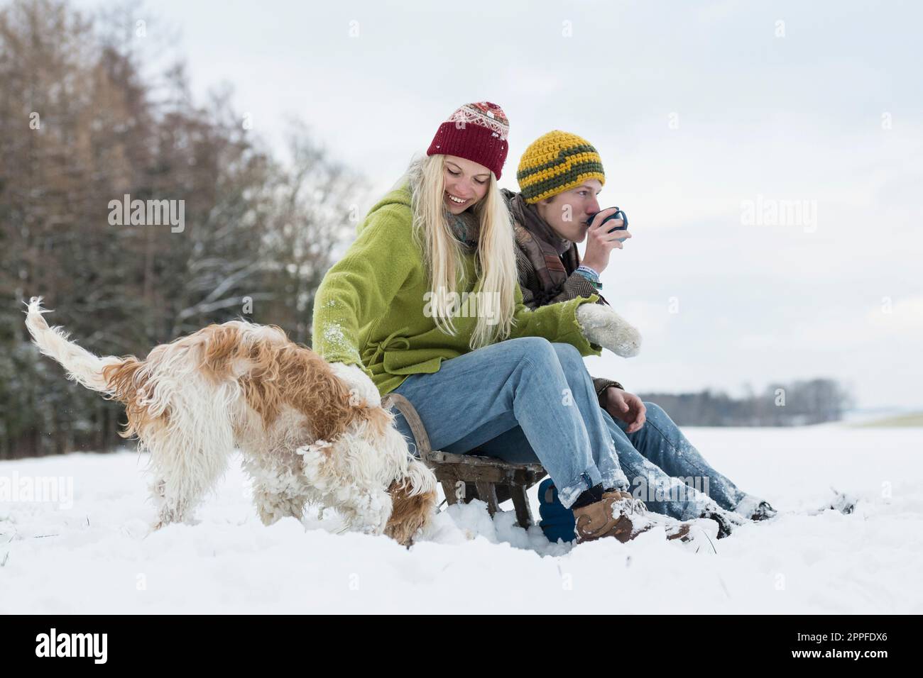 Ein junges Paar, das im Winter mit einem Hund auf dem Schlitten in einer verschneiten Landschaft sitzt, Bayern, Deutschland Stockfoto