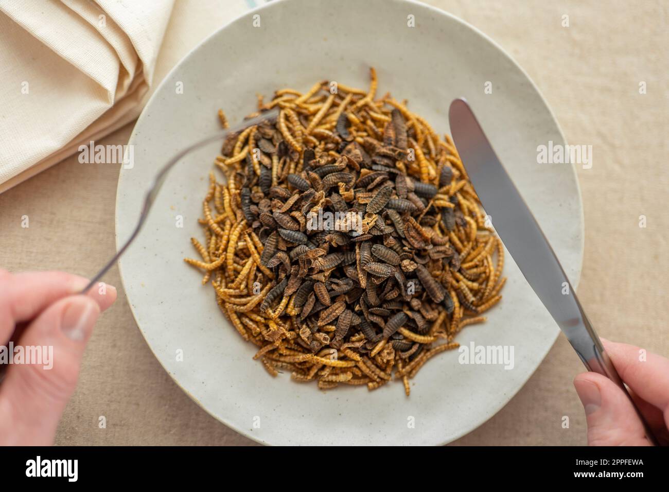 Insektenfutter. Würmer und Flussgarnelen auf einem Teller auf einem Leinentisch Stockfoto