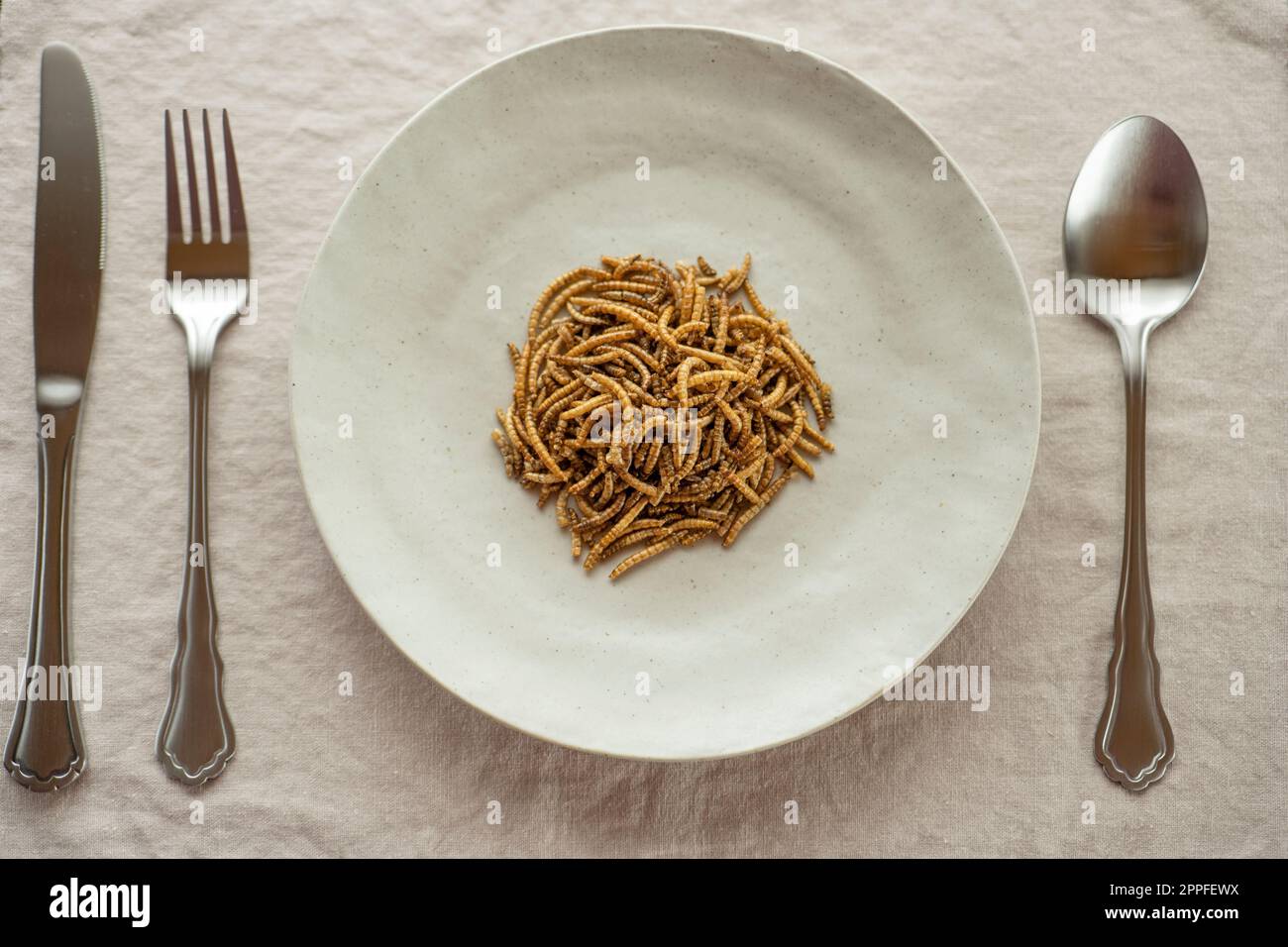 Mehl trockene Würmer auf einem Teller auf dem Tisch.Ansicht von oben. Insektenfutter. Stockfoto