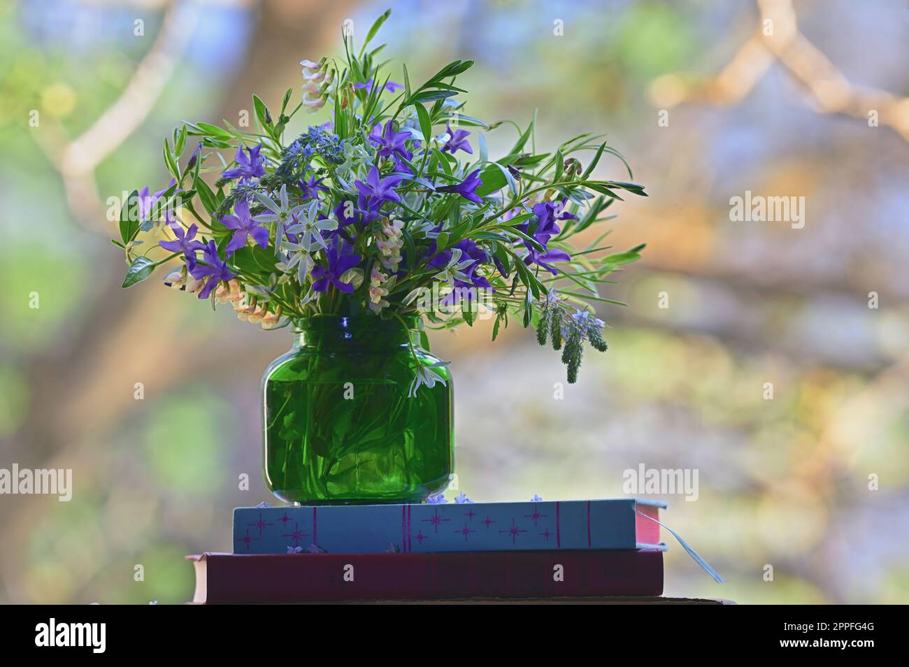 Farbenfrohe Frühlingsblumen in Vase auf Büchern in der Nähe des Fensters Stockfoto