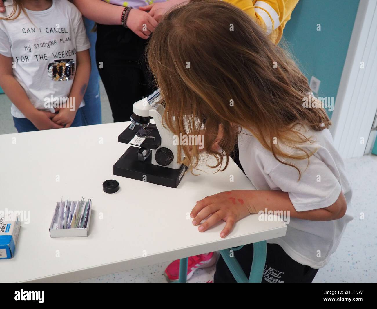 Sremska Mitrovica, Serbien, 15. Mai 2021. Ein 7-jähriges Mädchen in einem weißen T-Shirt sieht mit einem Auge durch das Mikroskop. Biologiestunde. Der Unterrichtsvorgang bei Kindern. Schulunterricht Stockfoto