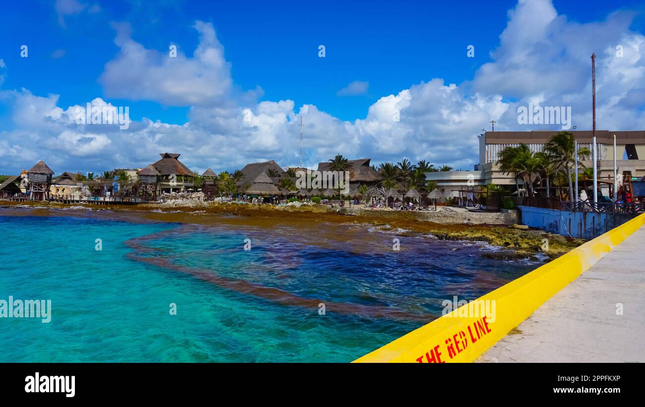 Algen verschmutzen den Strand in Mexiko. Stockfoto