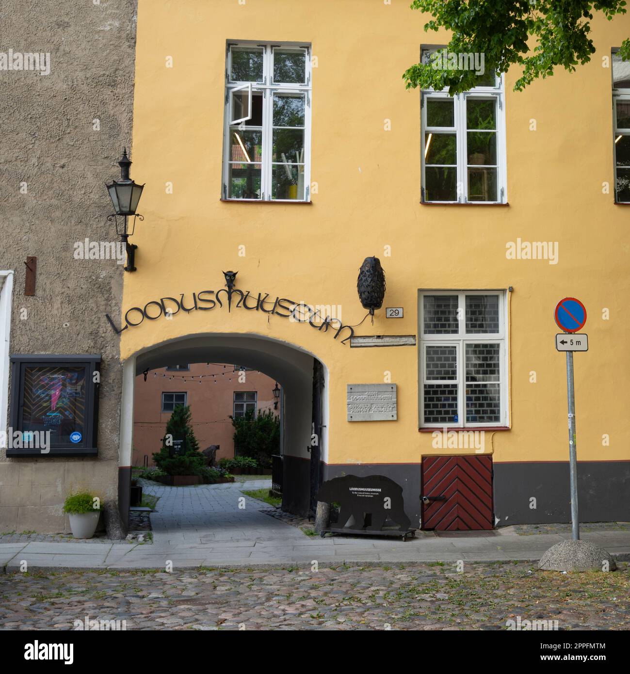 Das Naturmuseum in Tallinn, Estland Stockfoto