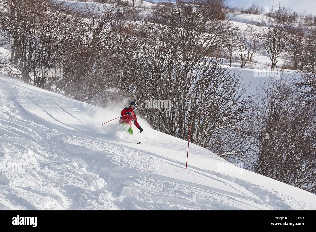 Skifahren im frischen Pulverschnee Stockfoto