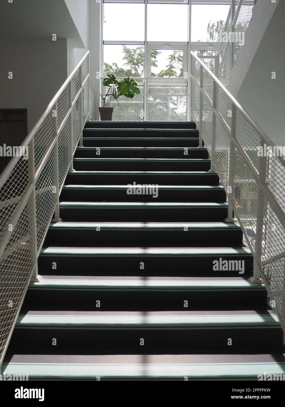 Treppe im Schulinneren. Neue, moderne Schule. Trittstufen und Handläufe. Sonnenschein aus einem großen Fenster. Monstera in einem Topf auf der Landung. Modernes Büro- oder Institution-Design Stockfoto