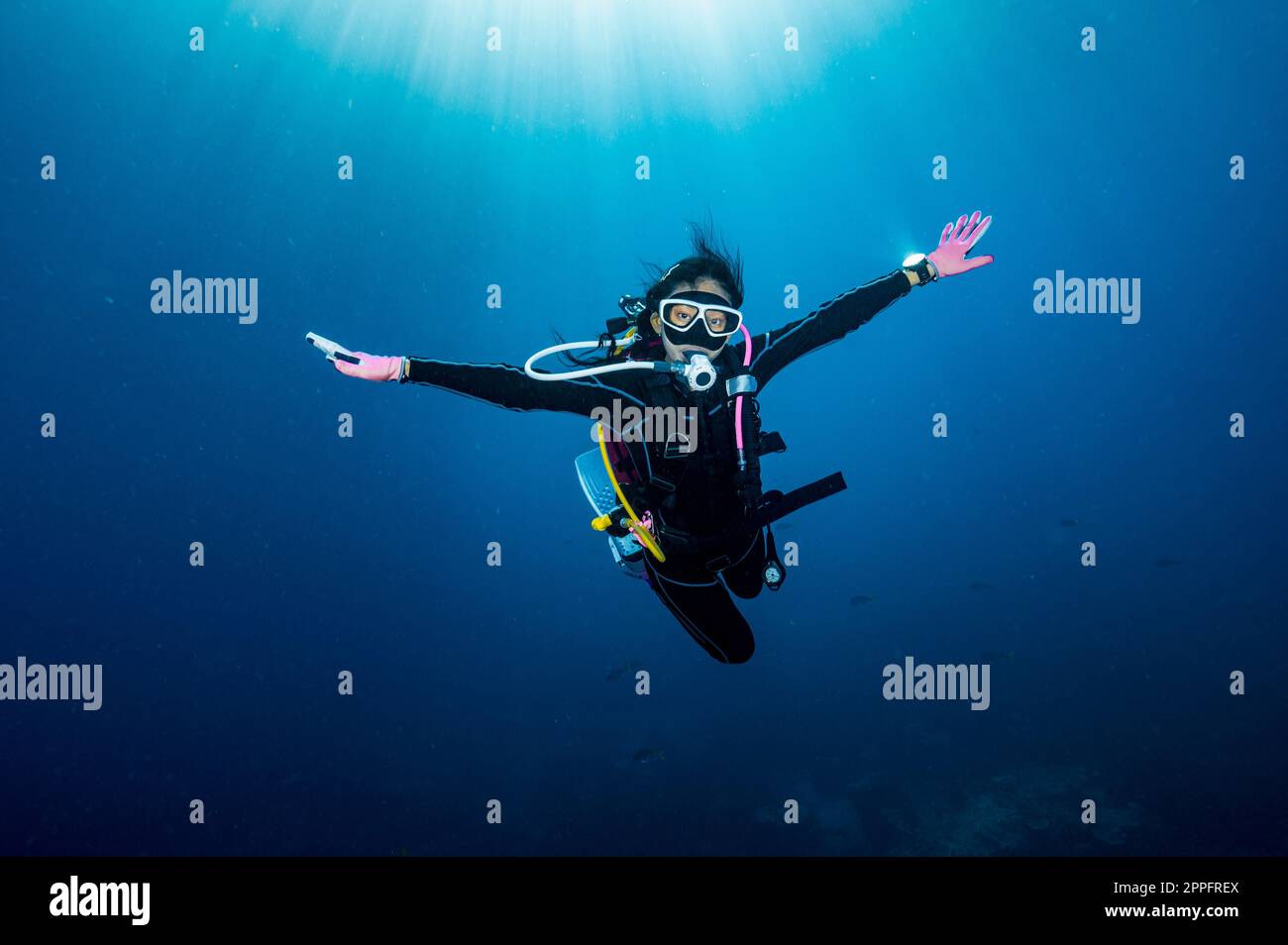taucher treiben im klaren Wasser des Golfs von Thailand Stockfoto