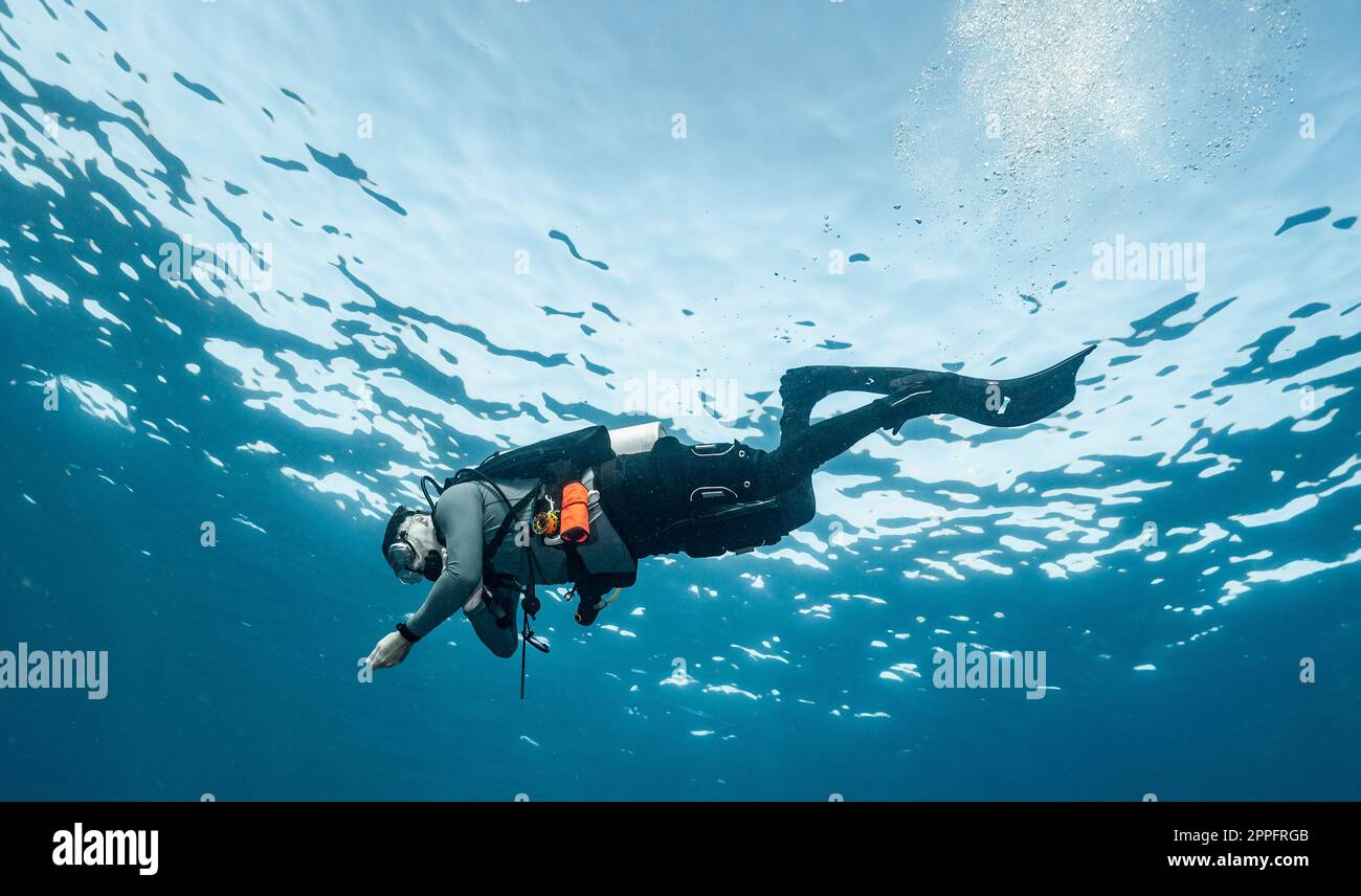 taucher treiben im klaren Wasser des Golfs von Thailand Stockfoto