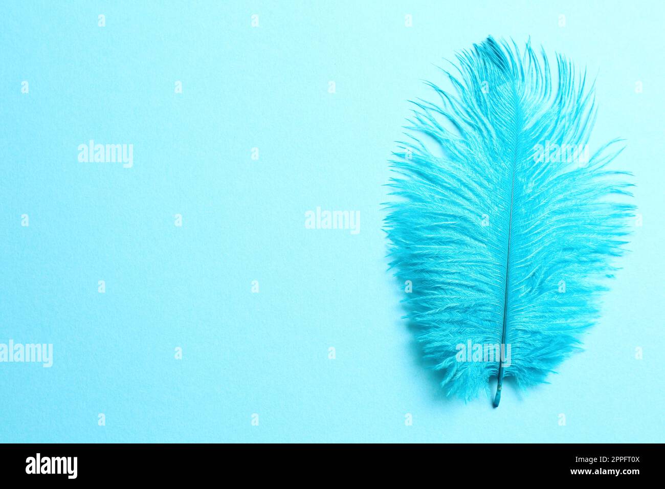 Schöne zarte Feder auf hellblauem Hintergrund, Draufsicht Stockfoto