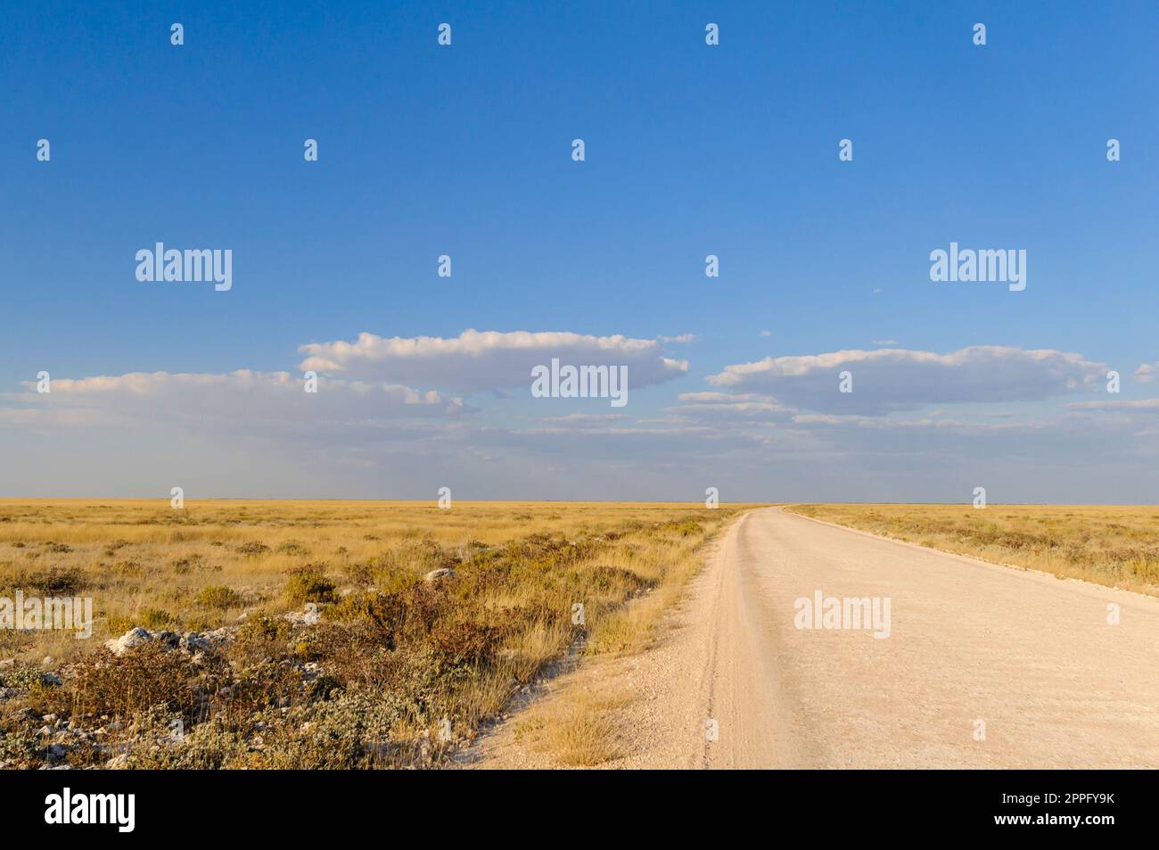 Afrikanische Savanne mit gerader Straße Stockfoto Afrikanische Savanne mit gerader Straße Stockfoto