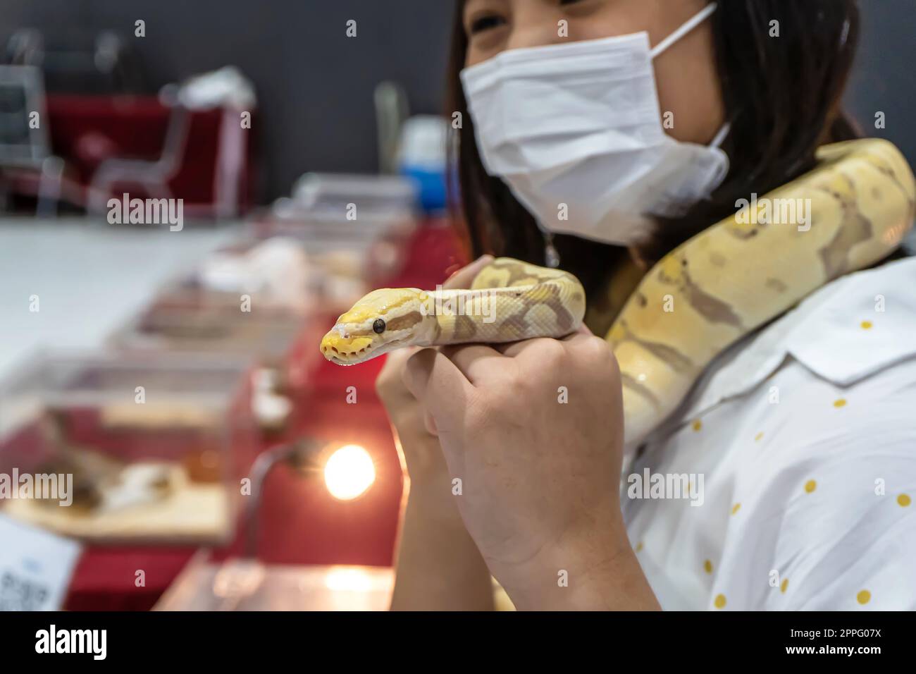 Ein Mädchen mit einer Ballpython Stockfoto