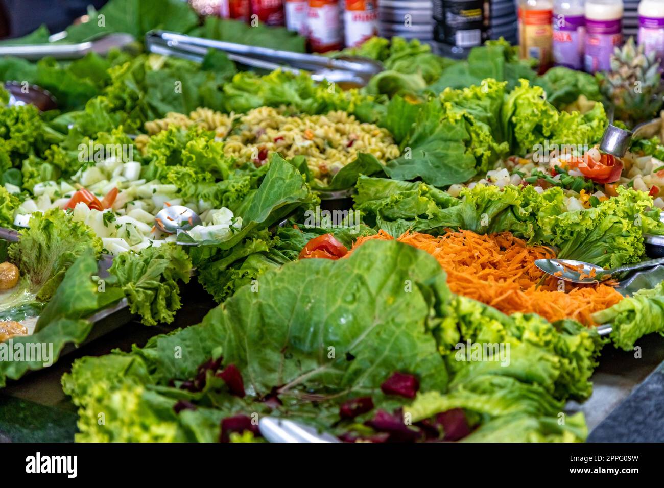 Gemüse- und Nudelsalate auf dem Buffettisch Stockfoto