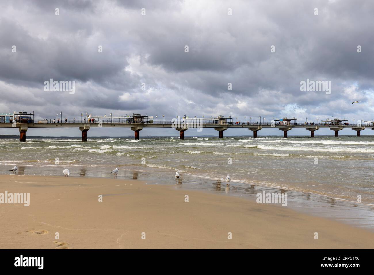 Miedzyzdroje Pier, langer Holzsteg, der vom Strand in die Ostsee führt, Wolin Island, Miedzyzdroje, Polen Stockfoto