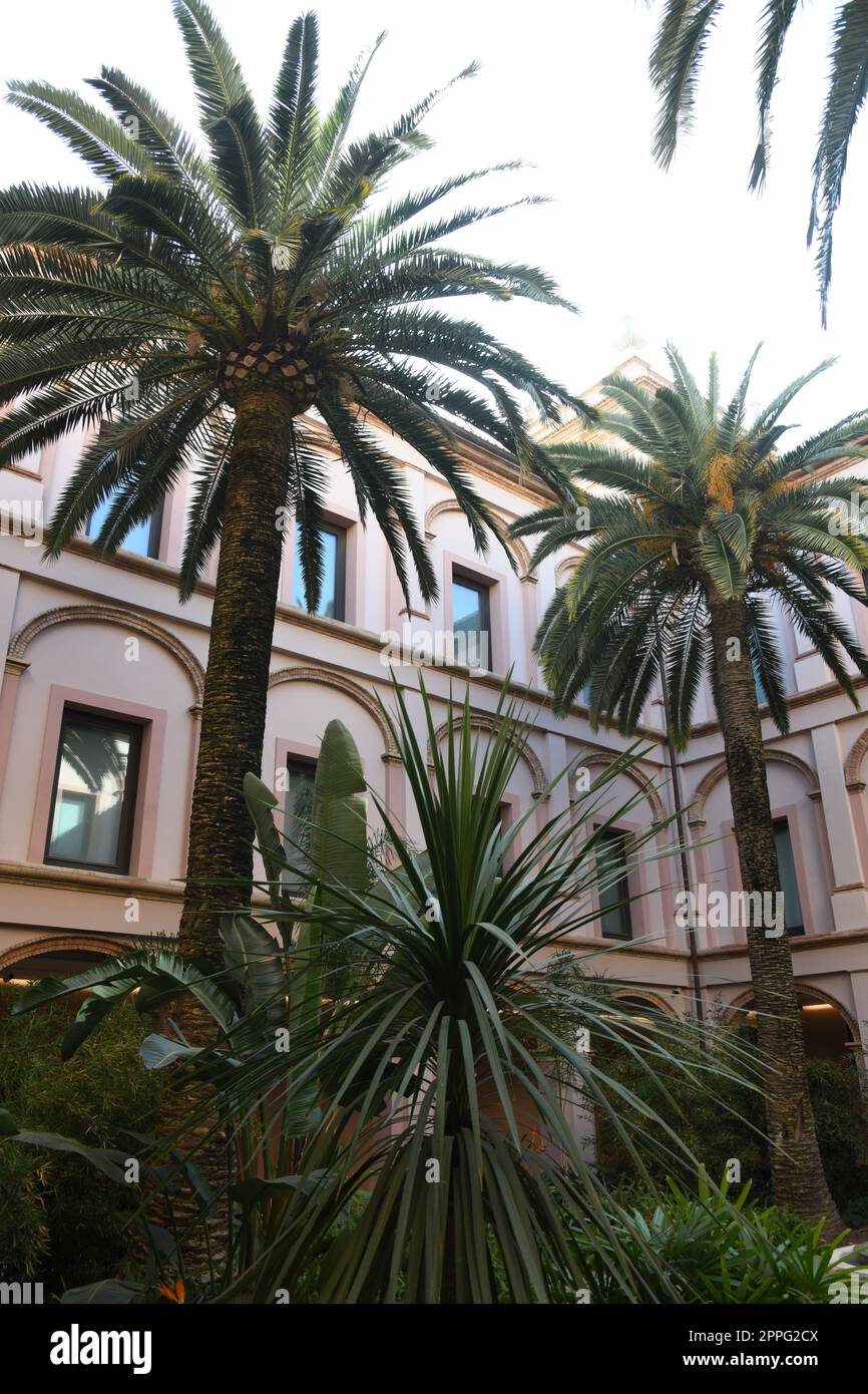 Stadtblick, Hausfassaden von Valencia, Provinz Valencia, Spanien, März 2023 Stockfoto