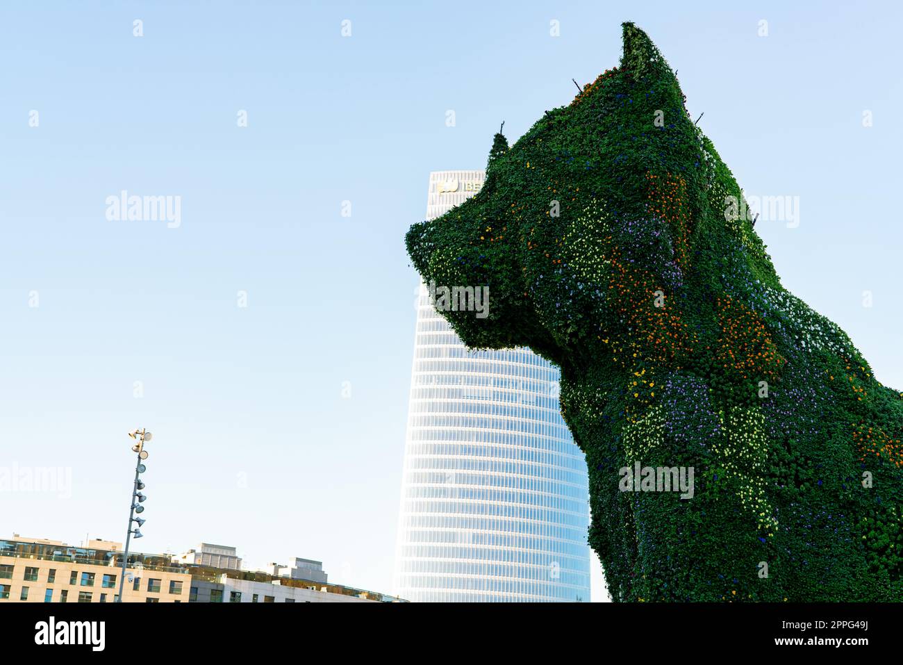 BILBAO, SPANIEN - 18. DEZEMBER 2021 : das Hündchen steht Wache im Guggenheim Museum in Bilbao, Biskaya, Baskenland, Spanien. Orientierungspunkte. Hundeskulptur des Künstlers Jeff Koons. Die größte Blumenskulptur der worldâ. Stockfoto