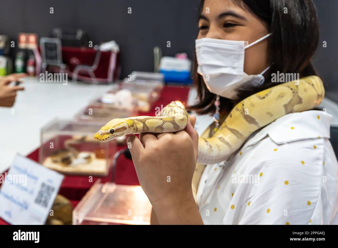 Ein Mädchen mit einer Ballpython Stockfoto