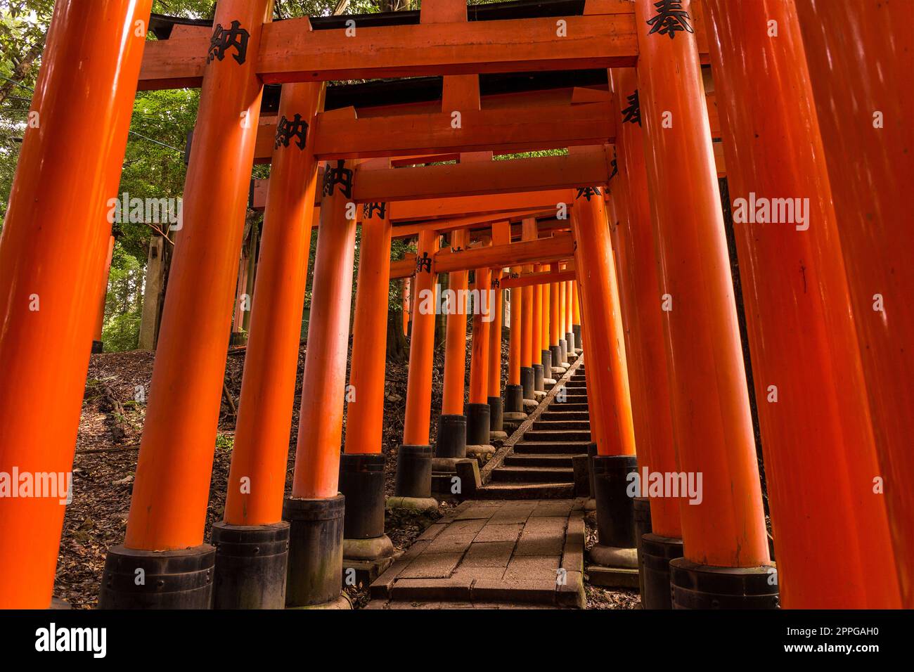 Fushimi Inari-Taisha-Schrein in Kyōto, Japan Stockfoto