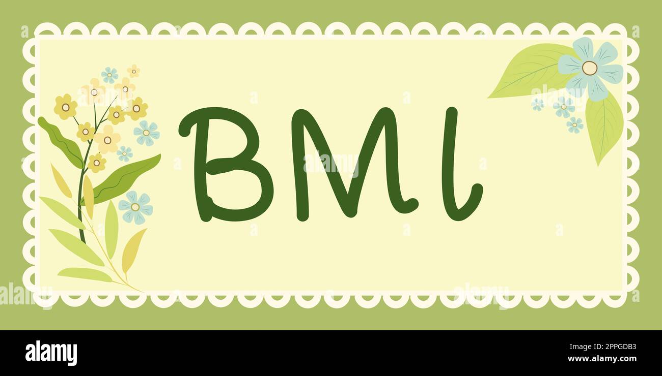 Handschriftentext BMI. Geschäftsansatz Methode zur Schätzung des Körperfettspiegels auf der Grundlage von Gewicht und Körpergröße Stockfoto