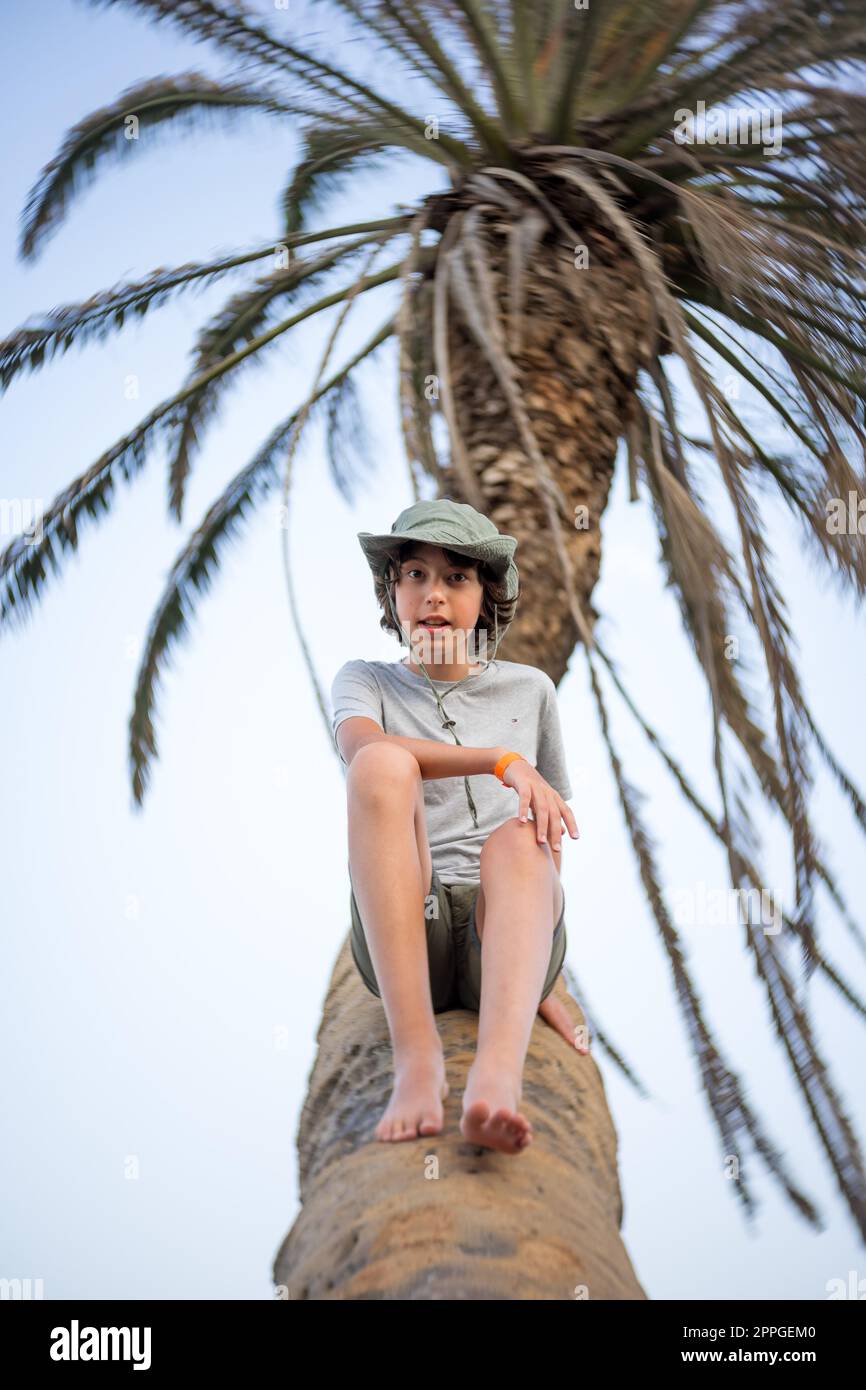 Porträt eines Teenagers, der auf dem Stamm einer umgestürzten Palme sitzt. Kunstlinse. Wirbelndes Bokeh. Konzentriere dich auf die Mitte. Stockfoto