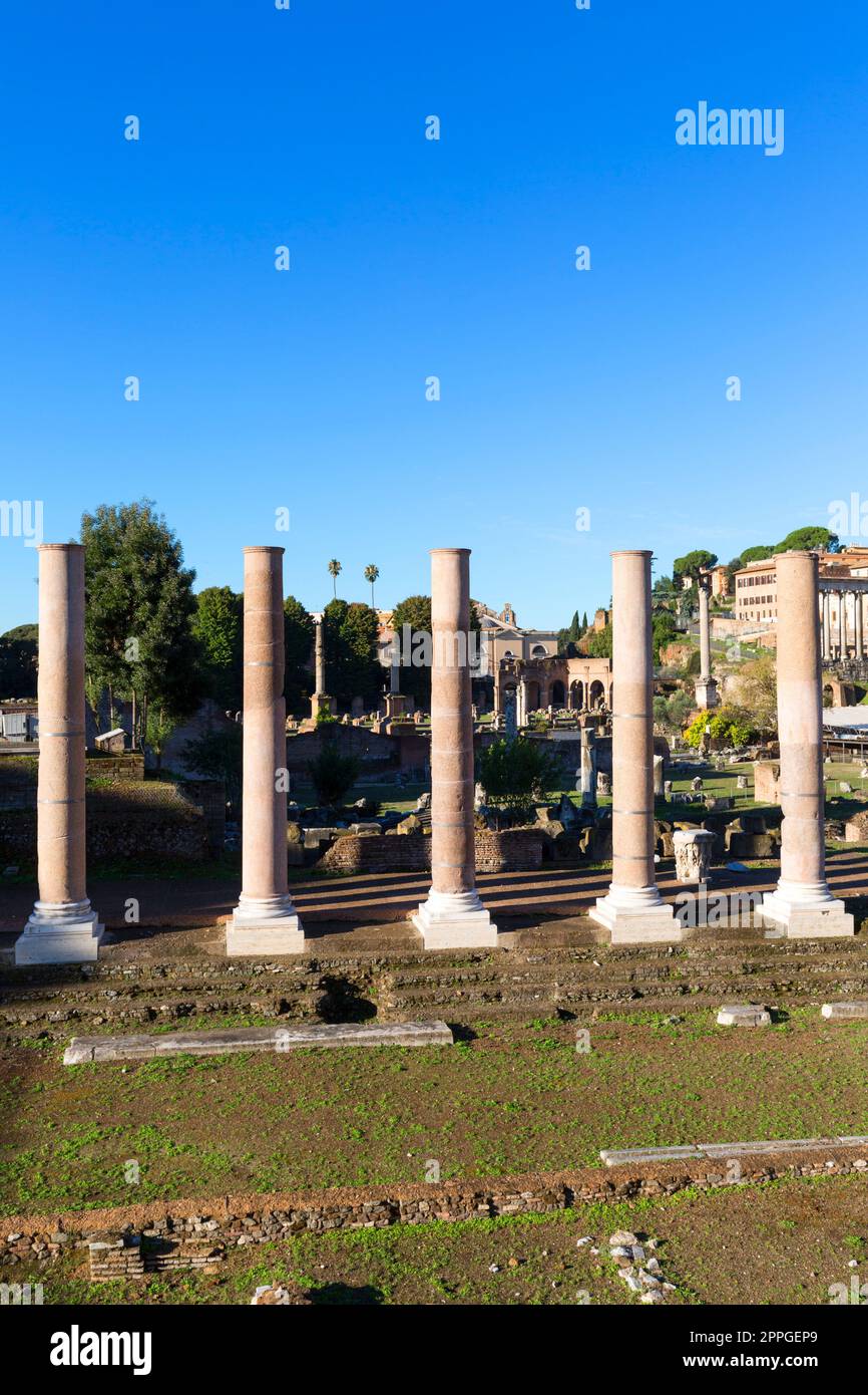 Forum Romanum, Blick auf die Ruinen von mehreren wichtigen antiken Gebäuden,Tempel der Venus und Roma-Kolonnade, Rom, Italien Stockfoto