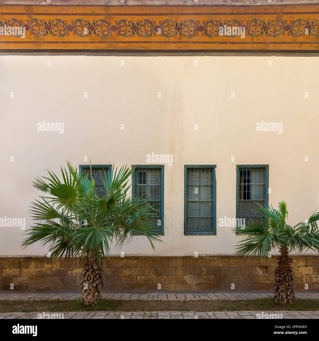 Zwei kleine Palmen, beige Wand mit orangefarbenem Blumenkorn und grünen Fensterläden Stockfoto