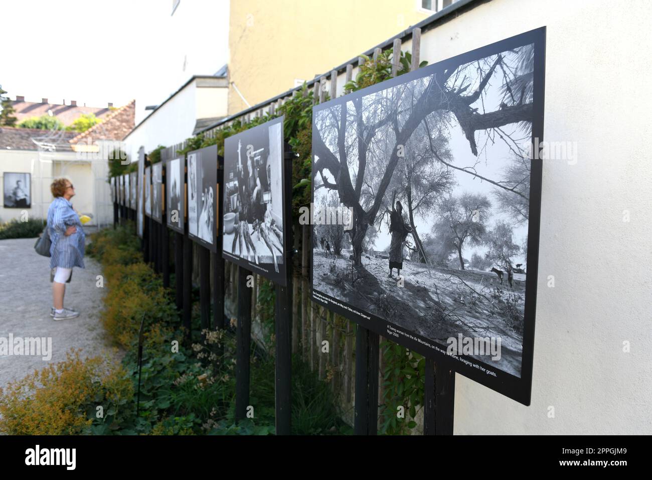 La Gacilly-Baden Fotofestival in Baden bei Wien, Niederösterreich Stockfoto