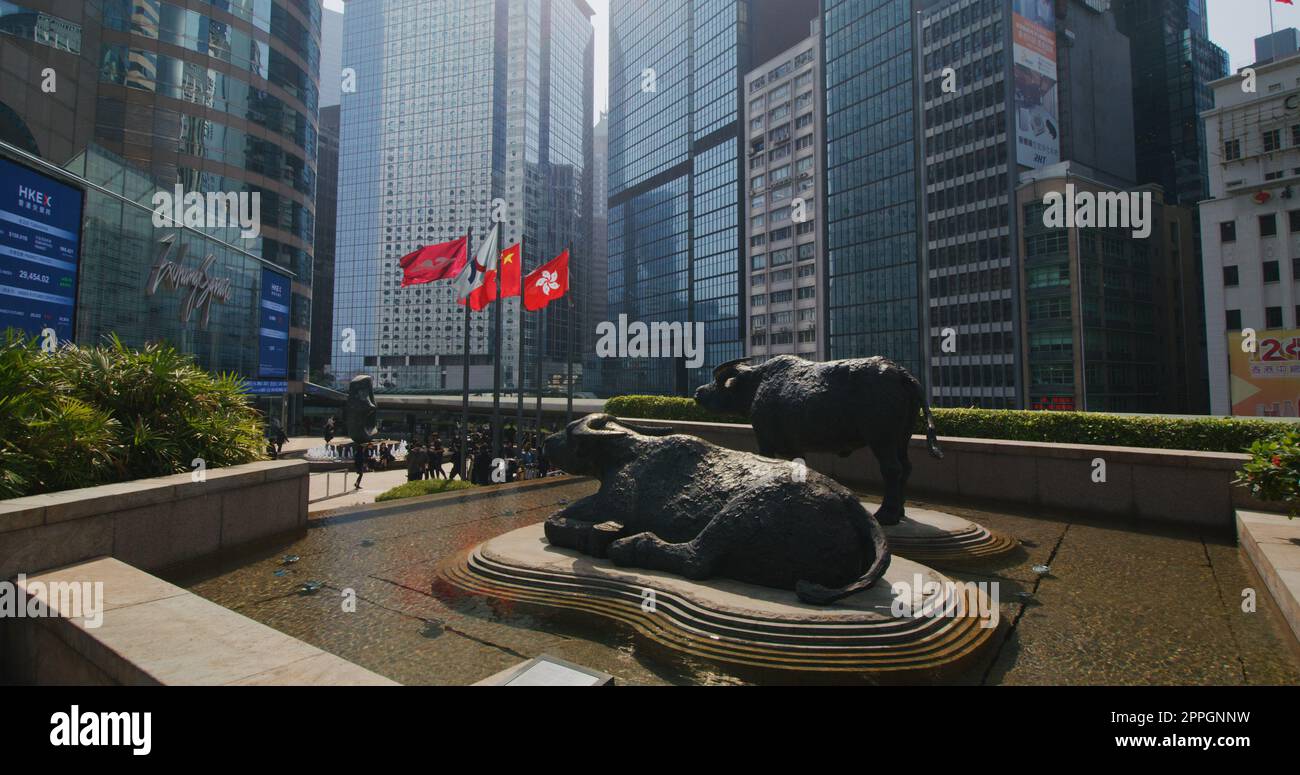 Central, Hong Kong 27. Januar 2021: Zu Fuß zu zwei Büffelstatuen, Exchange Square auf Hong Kong Island Stockfoto