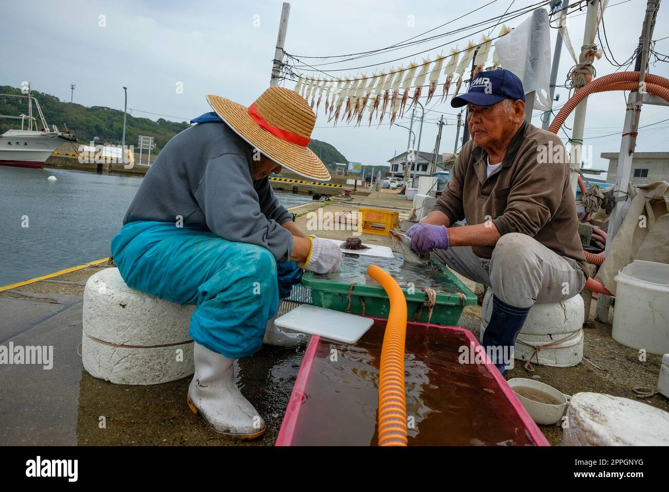 Yobuko, Japan - 21. April 2023: Ein Paar, das Tintenfisch in der Sonne ...