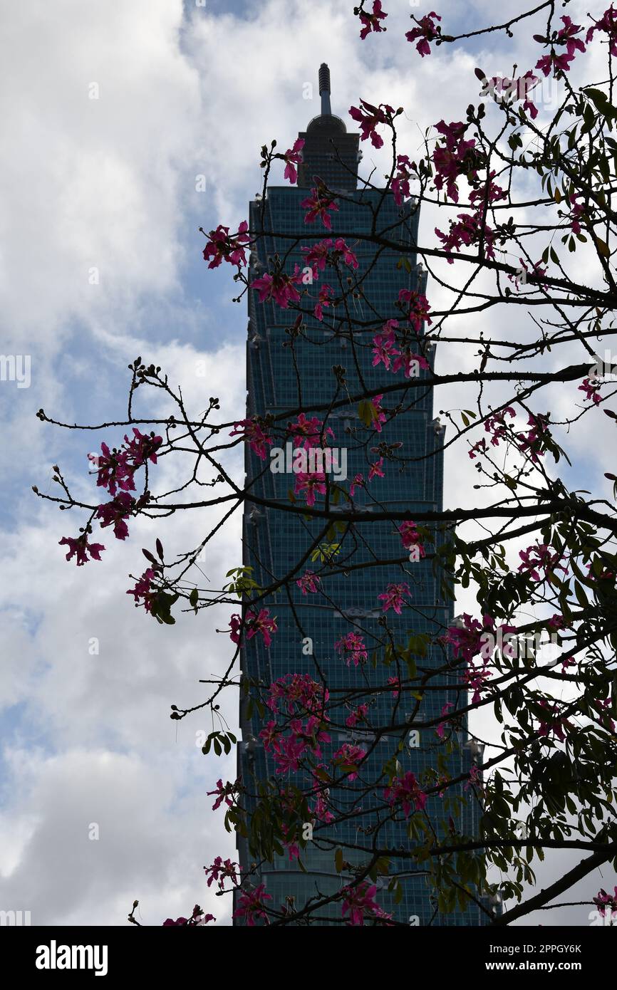 Vertikales Bild des Taipei 101 Wolkenkratzers in Taipei, Taiwan Stockfoto