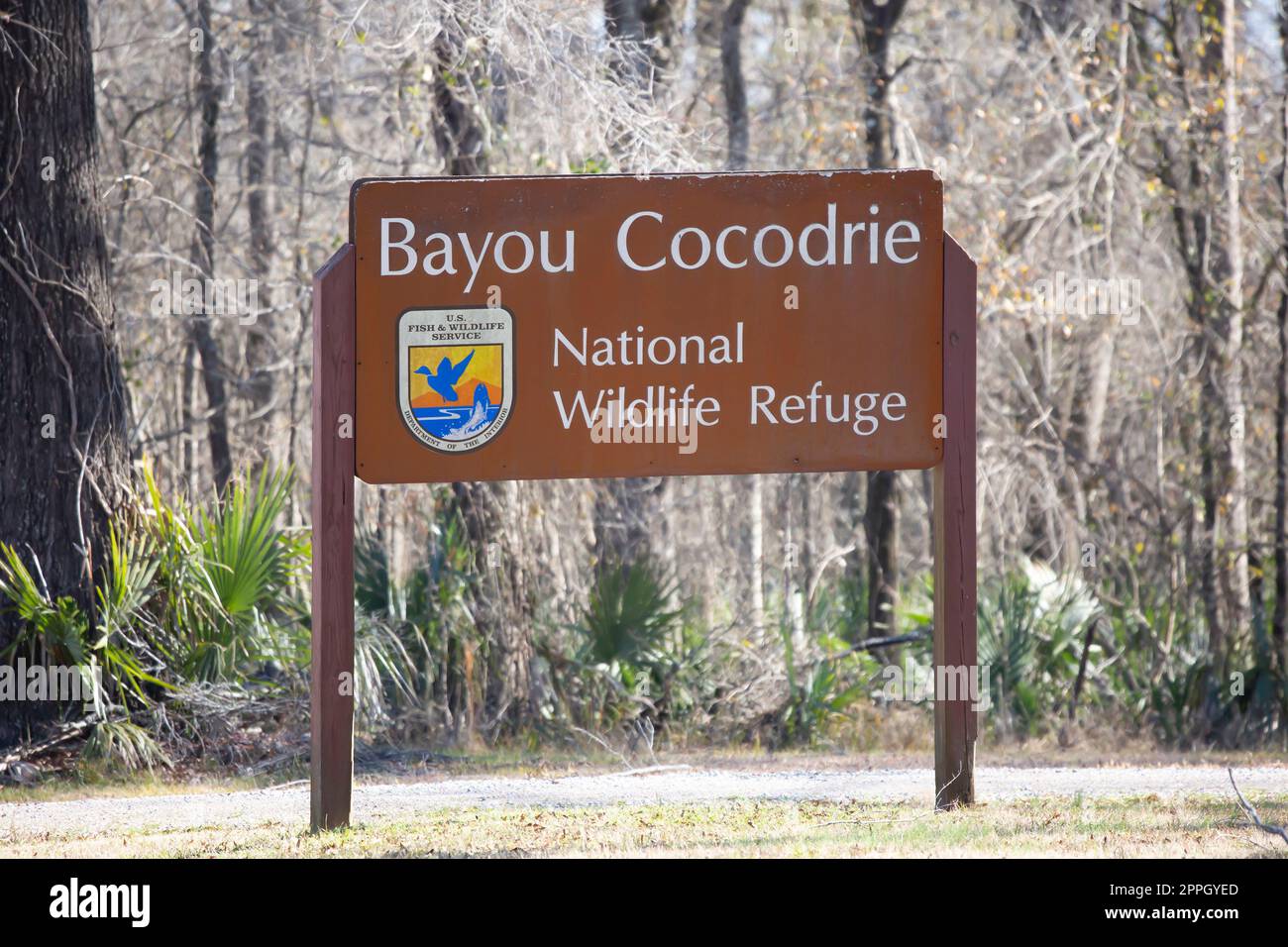 Bayou Cocodrie National Wildlife Refuge Stockfoto