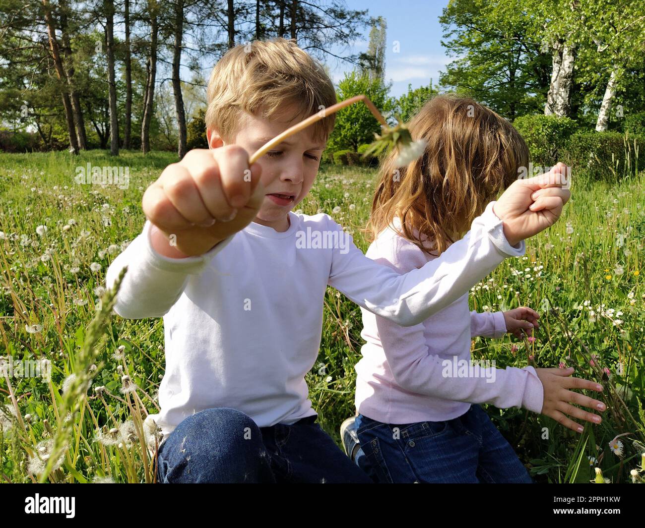 Junge und Mädchen auf dem Rasen. Süße Kinder pflücken Wiesenblumen und blasen auf Löwenkerne Stockfoto