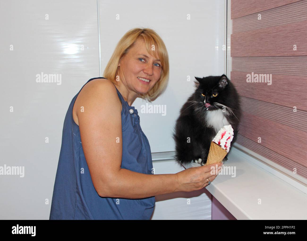 Die menschliche Hand bietet eine schwarze Katze an, um Eis zu essen. Überraschte Katze mit Eis Stockfoto