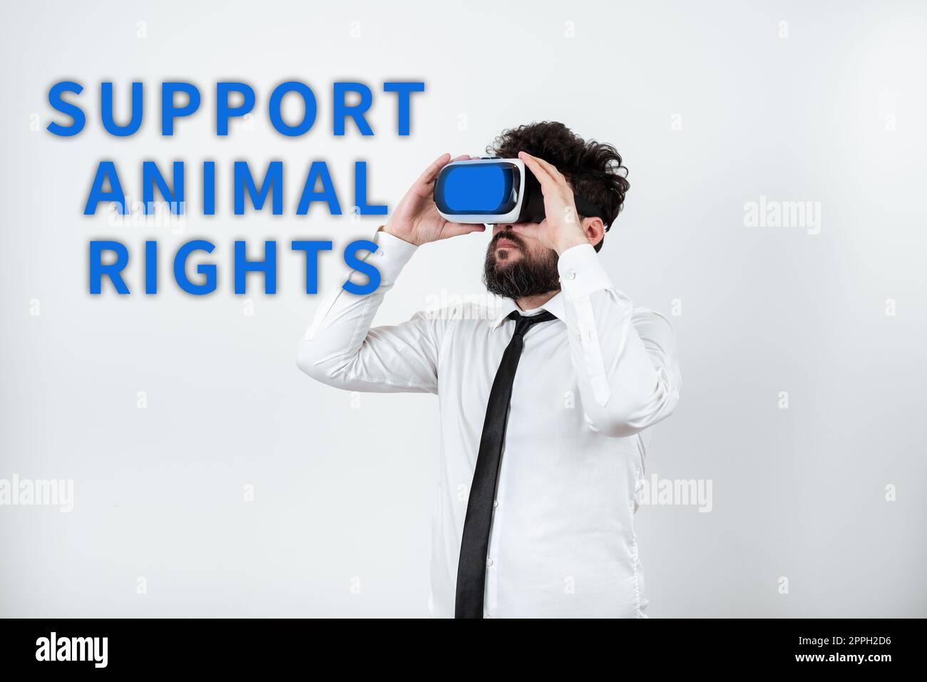 Schreiben mit Text Support Animal Rights. Begriff Schutz und richtige Behandlung aller Tiere Stockfoto