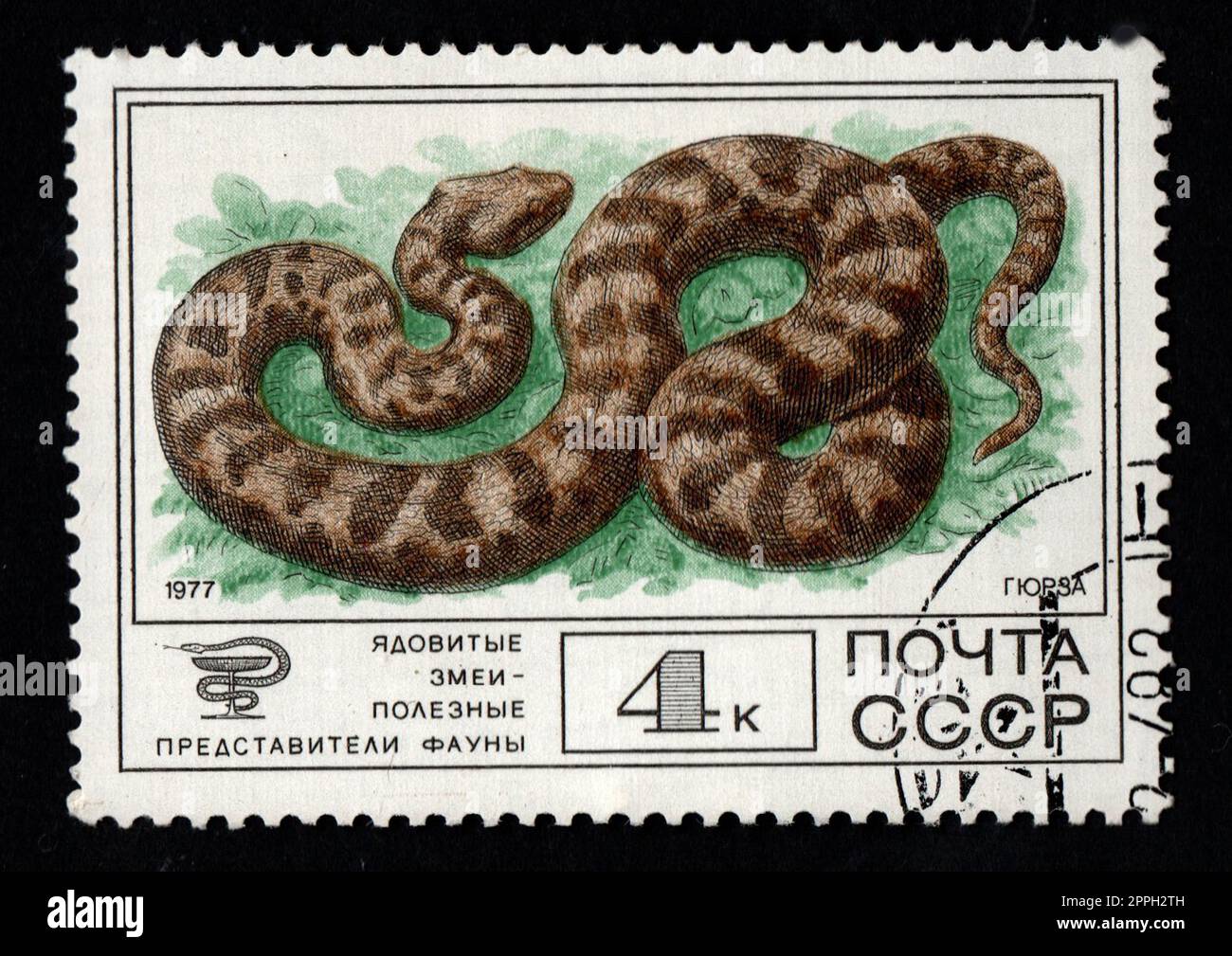 Sowjetische Briefmarke gewidmet Macrovipera lebetinus. Giftige Schlange Stockfoto