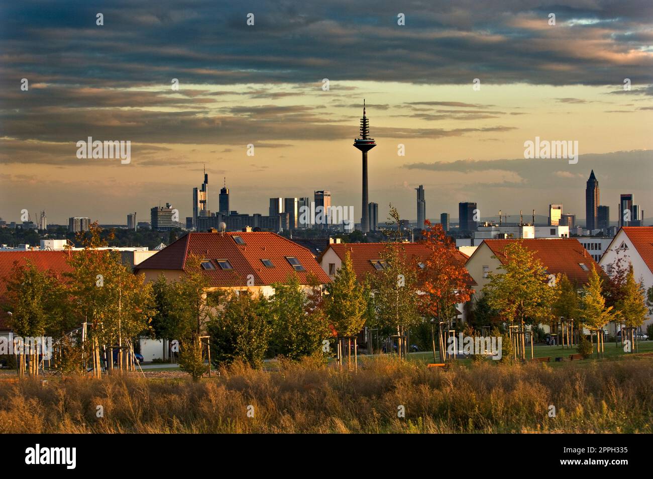 Die Skyline von Frankfurt am Main am Horizont mit einer Vorstadt im Vordergrund. Stockfoto