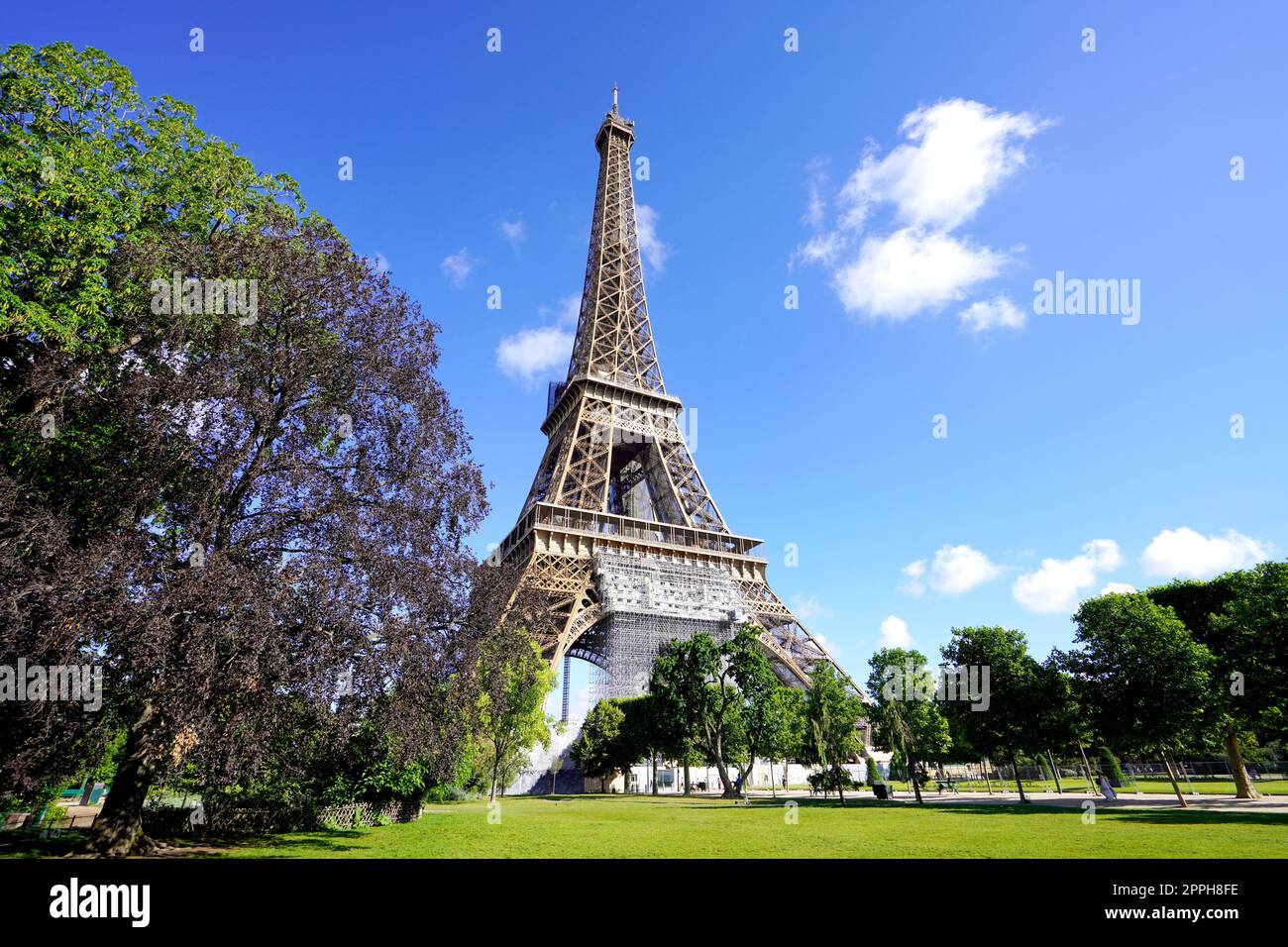 Blick auf den Eiffelturm vom Champs de Mars, Paris, Frankreich Stockfoto